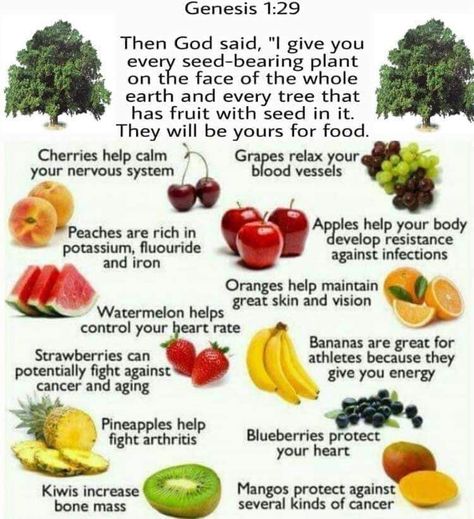 Foods For Ibs, Biblical Eating, Diets For Men, Eye Exercises, Medical Medium, Alkaline Diet, Fruit Seeds, Healthy Benefits, Feeling Better