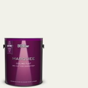 1 gal. Flat Interior Ceiling Paint and Primer in One One Coat Paint, Sainte Chapelle Paris, Behr Marquee, Ceiling Paint, Interior Ceiling, Behr Paint, Flat Interior, Matte Paint, Paint Primer