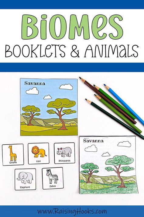 Biome Activities Preschool, Biomes Preschool Activities, Biome Coloring Pages, Jungle Sensory Bin, Teaching Biomes, Animal Writing Activities, Rainforest Diorama, Biomes Activities, Animal Sorting