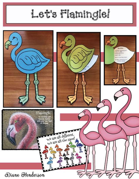 Flamingo Bulletin Board Ideas, Flamingo Activities, Flamingo Bulletin Board, Flamingo Crafts, Flamingo Classroom, Rainforest Room, Introduction Ideas, Tropical Classroom, School Icebreakers