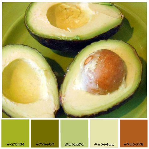 Avocado Colour Palette, Avocado Green Color Palette, Avocado Color Palette, Avocado Poster, Dye Inspiration, Avocado Painting, Fresh Avocado, Green Food Coloring, Avocado Green