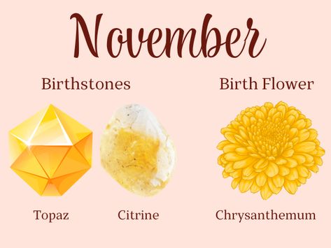 Birth Flower November, Flower Symbols, November Born, Flower Symbol, November Month, Key Dates, Connect The Dots, Pretty Jewelry, November Birthstone