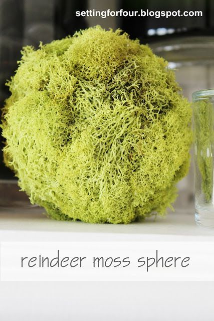 DIY Reindeer Moss Spheres from Setting for Four Moss Ideas, Diy Moss Ball, Diy Reindeer, Diy Moss, Easter Outdoor, Mantel Decorating, Moss Decor, Reindeer Moss, Natural Decor