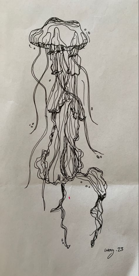 Lions Mane Jellyfish Tattoo, Jellyfish Tattoo Linework, Cartoon Jellyfish Tattoo, Jellyfish Tattoo Sketch, Jelly Fish Tattoo Stencil, Sea Nettle Jellyfish Tattoo, Aquarium Drawing, Lion's Mane Jellyfish, Sick Tattoos