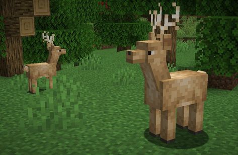 Deer Minecraft, Minecraft Mobs, Minecraft, Deer