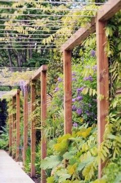 http://simonscottlandscaping.co.uk/home-2/pergola-with-wires-harriet-wolsely-designs-2/ Small Pergola, Cheap Pergola, Pergola Swing, Patio Pergola, Pergola Garden, Pergola Lighting, Pergola Design, Garden Vines, Wooden Pergola