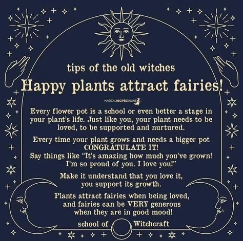 How To Attract Fairies, Fairy Offerings, Attract Fairies, Magical Recipes, Cottagecore Ideas, Lucky Plant, Witch Spirituality, New Moon Rituals, Witch Stuff