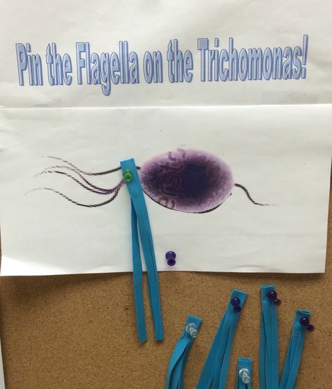 Pin the flagella on the trich lab week game Lab Week Celebration, Lab Week Food Ideas, Med Lab Week Ideas, Lab Week Ideas 2024, Lab Tech Graduation Party, Lab Week Gifts Ideas, Laboratory Week Ideas, Lab Week Decorations, Lab Week 2024