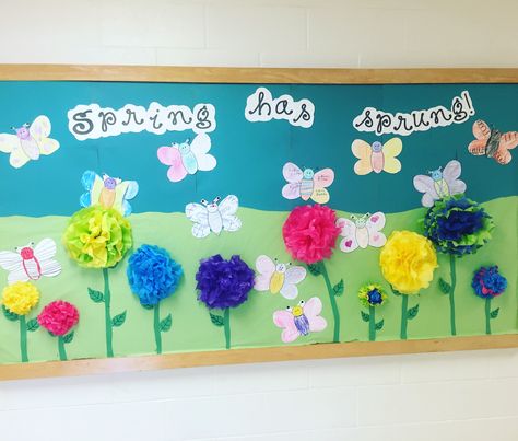 Spring Has Sprung Bulletin Board, Spring Bulletin Boards, Signature Ideas, Classroom Door, Display Board, Head Start, Spring Has Sprung, Back To School Activities, Bulletin Boards