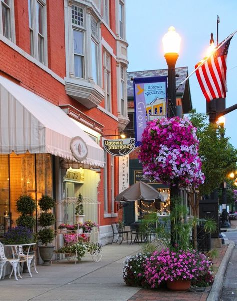 Baskets Of Flowers, Westerville Ohio, Small Cities, Liberal Arts College, City Flowers, Street Fair, State Capitals, Liberal Arts, Image Photography