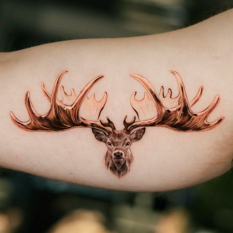 Irish Elk in Brown&Gold version✨🤎 . . . #londontattoo #londontattoos #londontattooartist #browntattoo #deertattoos Elk Tattoo, Irish Elk, Browning Tattoo, London Tattoo, Brown Gold, Elk, Deer, Tattoos, Gold