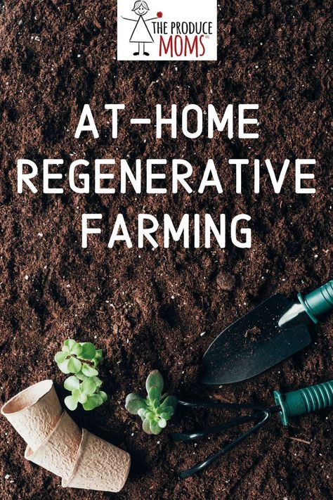 Regenerative Homestead, Soil Regeneration, Regenerative Gardening, Regenerative Farming, Garden Problems, Tattoo Plant, Flower Farming, Sustainable Eating, Cup Of