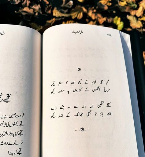 Urdu Poetry Aesthetic Poetry In Urdu, Romantic Poetry Quotes, Poetry Pic, Poetry Ideas, Aesthetic Poetry, Image Poetry, Look Up Quotes, Best Quotes From Books, Feelings Words