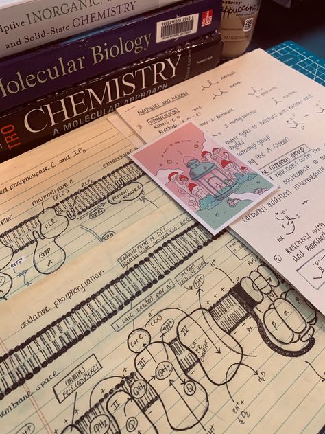 Chem Class Aesthetic, Medical Biology Aesthetic, Biochem Major Aesthetic, Organic Chem Aesthetic, Biochemistry Major Aesthetic, Biotech Student Aesthetic, Bio Science Aesthetic, Chemistry Science Aesthetic, Biochemistry Student Aesthetic