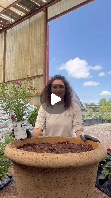 Fountain's Green Grow-Cery on Instagram: "Let’s fill a very large pot with sun loving plants.

🌿gomphrena for the thriller
🌿sunpatiens for the filler
🌿cascading periwinkles for the spiller

This pot was massive but thankfully light. I was able to move it around easily as I planted 😂. 

#gardening #flowers #spring #gardeningideas" How To Fill Large Outdoor Planters, Planter Filler Ideas Large Pots, Thriller Filler Spiller Ideas Full Sun, Large Flower Pot Ideas, Thrillers Fillers Spillers, Huge Planters, Large Garden Pots, Large Outdoor Planters, Container Planting