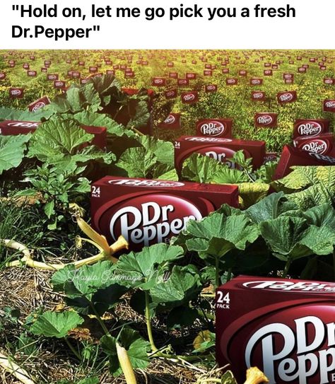 Dr Pepper Obsession, Texas Wallpapers, Doctor Pepper, Soda Ads, Doctorate, Dr Pepper, Very Funny Pictures, Food Obsession, Just Girly Things