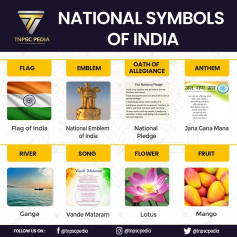 India National Symbol, National Things Of India, National Symbols Of India Chart, National Symbols Of India Worksheet, Fundamental Rights In India Chart, National Symbols Of India For Kids, Indian National Symbols, National Symbols Of India, Continents Song