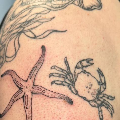 Ziggy Mienko - Hard Easy Tattoo on Instagram: "Blood starfish and the cutest little limpet joined the tide pool party on Michele’s sleeve 🦀🪸🐚 Made with machine; dotwork is handpoked Healed pieces not by me! #oceantattoo #pnwtattoo #tacomatattoo #tacomatattooartist #seattletattooartist #seattletattoo #bellinghamtattoo #olympiatattoo #handpoke #stickandpoke #tidepools #pnw" Aesthetic Ocean Tattoos, Ocean Patchwork Tattoo, Water Tattoos, Pnw Tattoo, Starfish Tattoo, Tattoos 2024, Easy Tattoo, Ma Tattoo, Seattle Tattoo