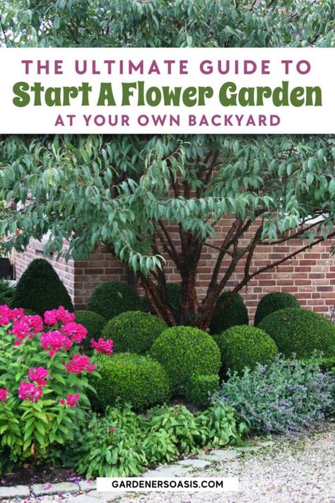 How to Start a Flower Garden You'll Love for Years to Come | Gardening Easy Gardening Ideas, Home Gardening Ideas, Flower Garden Plans, Garden Decoration Ideas, Easy Gardening, Perennial Shrubs, Gardening Flowers, Lawn Edging, Gardening 101