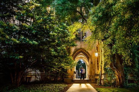 University Of Chicago Engagement Photos, Chicago Engagement Pictures, Chicago Engagement Photos, Chicago Botanic Garden, University Of Chicago, Chicago Engagement, Crystal Garden, The University Of Chicago, Chicago Photos