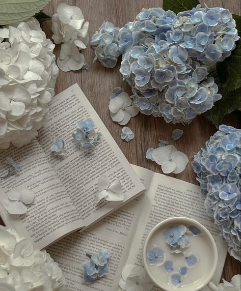 Calmness Aesthetic, Blue Cottagecore, Blue Cookies, Antique Aesthetic, Light Blue Aesthetic, Blue Cottage, Blue Aesthetic Pastel, White Books, Cottage Core Aesthetic