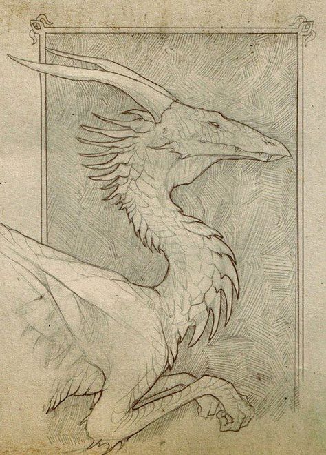 Western Dragons Biotechnology Art, Dragon Anatomy, Dragon Sketch, Dragon Illustration, Tinta China, Dragon Artwork, Dragon Drawing, Creature Concept Art, Fantasy Dragon