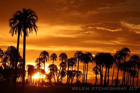 Entre Rios, Dawn And Dusk, Best Sunset, Mesopotamia, Cool Countries, Countries Of The World, Beautiful Sunset, Mother Earth, Sunrise Sunset