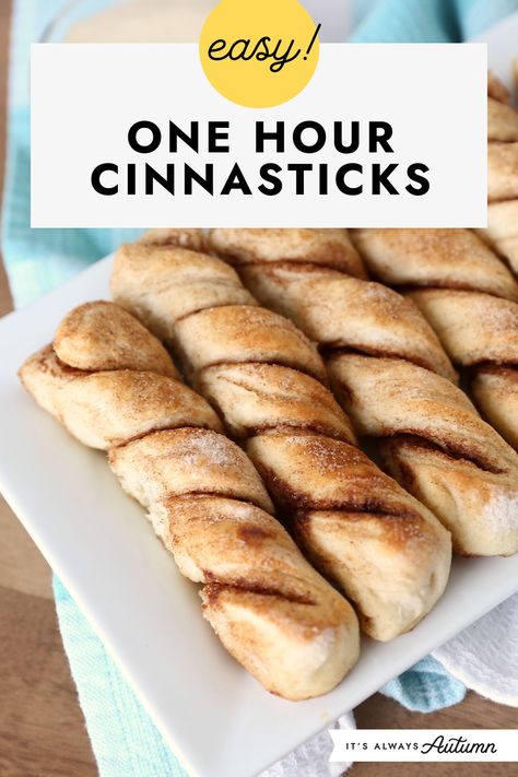 Easy! One hour cinnasticks. Cinnamon Bread Sticks, Cinnamon Breadsticks, Bread Experiment, Cinnamon Bread Easy, Quick Cinnamon Rolls, Easy Bread Recipe, Garlic Knots Recipe, Cinnamon Twists, Toddler Breakfast