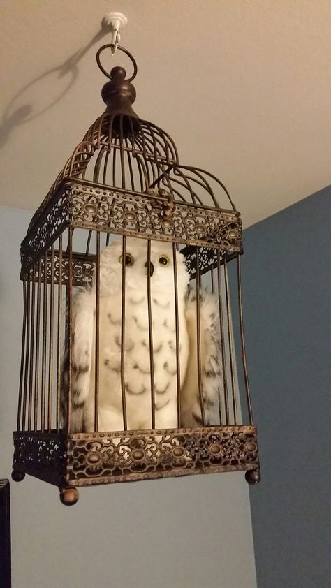 Hedwig in owl cage for Harry Potter nursery. Harry Potter Baby Nursery, Harry Potter Bathroom, Harry Potter Bedroom Decor, Harry Potter Nursery, Harry Potter Room Decor, Harry Potter Classroom, Harry Potter Bedroom, Festa Harry Potter, Potters House