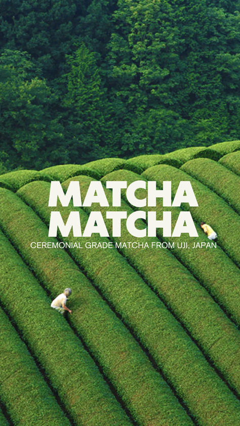 Premium Ceremonial Grade Matcha, Sourced from UJi, Japan. Green Matcha Aesthetic, Matcha Tea Aesthetic, Matcha Flavors, Matcha Coffee Latte, Matcha Photography, Green Tea Aesthetic, Matcha Ideas, Matcha Ceremonial, Matcha Poster