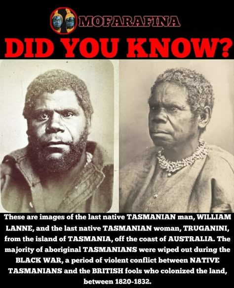 Remembering the black heroes of Tasmania. Follow @omofarafina for more. 〰️ Nubiamancy is a film production company that promotes historical… | Instagram Indigenous Healing, Black Education, African Superhero, African History Truths, Black Heroes, Kemetic Spirituality, Film Production Company, African American History Facts, Aboriginal American