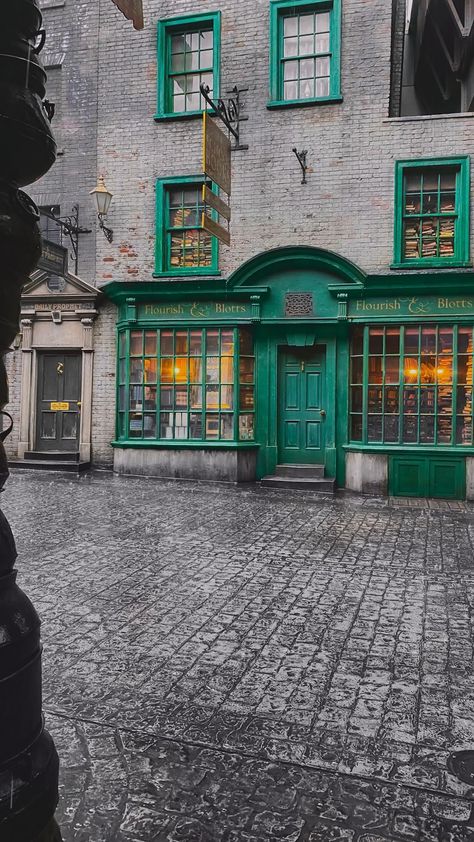 Flourish And Blotts Diagon Alley, Harry Potter Buildings, Diagon Alley Aesthetic, Diagonal Alley, Water Rides, Harry Potter Diagon Alley, Witch School, Harry Potter Miniatures, Storybook Homes