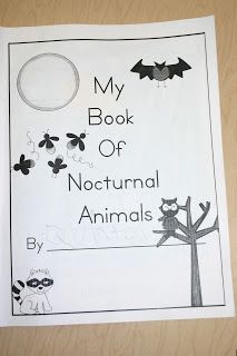 Nocturnal Animals Kindergarten, Spiders Kindergarten, Nocturnal Animals Activities, Forest Unit, Hibernating Animals, Teaching Prek, Prek Science, January Preschool, Animals That Hibernate