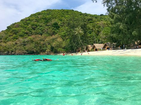 Snorkelling at Coral Island, Phuket, Thailand Coral Island Phuket, Coral Island Thailand, Black Sea Urchin, Coral Island, Thailand Phuket, Travel Money, Phuket Thailand, Island Hopping, Pattaya