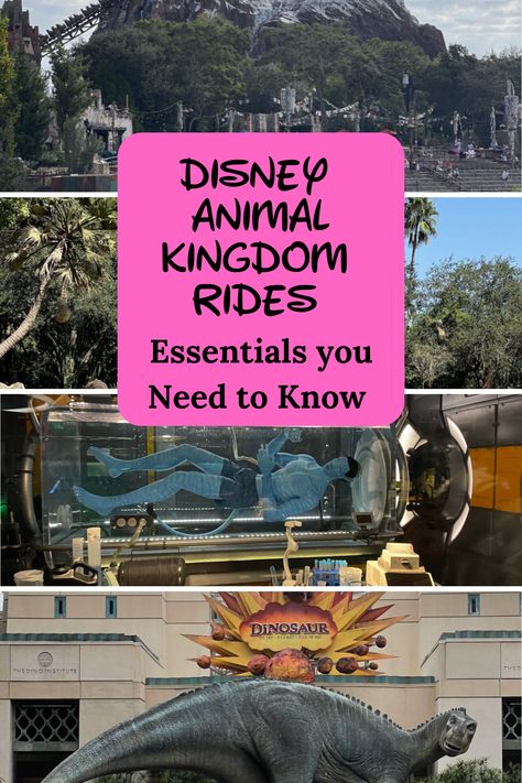 Explore the wild side of Disney with our Ultimate Guide to Disney Animal Kingdom Rides! 
From thrilling attractions to family-friendly adventures, discover the best rides in Orlando Florida Disney. 
Perfect for Disney World Vacation Planning, this guide will help you make the most of your visit to Disney World Orlando Florida. Get ready for an unforgettable experience at Walt Disney World Orlando! 🌍🎢 

#DisneyAnimalKingdom #AnimalKingdomRides #OrlandoFloridaDisney Orlando Florida Disney, Animal Kingdom Rides, Walt Disney World Orlando, Disney World Vacation Planning, Tower Of Terror, Disney Tips, Disney World Vacation, Disney Cruise, Disney Trips