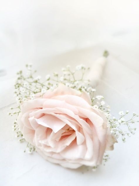 Blush Pink Boutonniere, Blush Pink Wedding Flowers, Pink Boutonniere, Pink Wedding Inspiration, Groomsmen Boutonniere, Blush Wedding Flowers, Babies Breath, Baby Breath, Prom Flowers