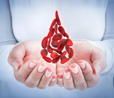 Low Ferritin, What Is Stem, Hemoglobin Levels, Cord Blood Banking, Blood Drop, Iron Deficiency, Phlebotomy, Blood Donation, Red Blood Cells