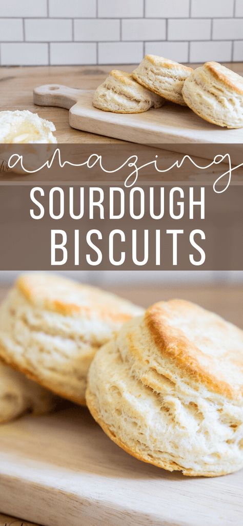 How to make the easiest flakey biscuits using sourdough discards! You can also use this recipe to easily make them without it as well! Very versatile! Sourdough Discard Biscuits, Discard Biscuits, Flakey Biscuits, Sourdough Biscuits, Recipe Using Sourdough Starter, Sourdough Bread Starter, Dough Starter, Sourdough Starter Discard Recipe, Easy Sourdough