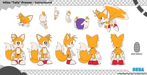 Sonic Animation, Tyson Hesse, How To Draw Sonic, Character Reference Sheet, Classic Sonic, Character Sheets, Sonic Adventure, Hedgehog Art, Sonic And Shadow