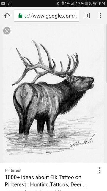 Elk Drawing, Moose Illustration, Elk Tattoo, Elk Pictures, Prehistoric Planet, Prehistoric Mammals, Hunting Tattoos, Nature Tattoo Sleeve, Native Tattoos