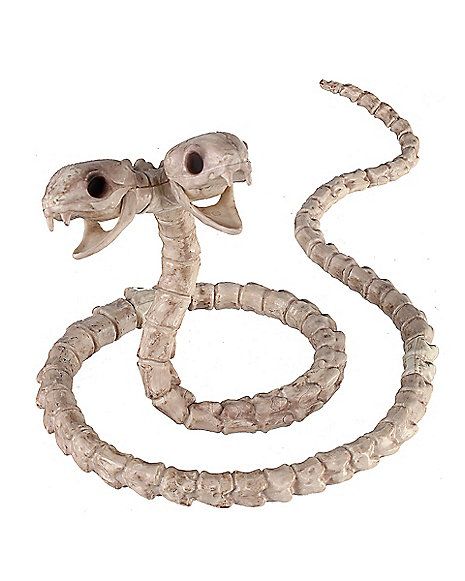 Two-Headed Snake Skeleton - Decorations - Spirithalloween.com Snake Skeleton, Skull Reference, Bones Brigade, Snake Drawing, Animal Skeletons, Skeleton Tattoos, Skeleton Decorations, Snake Art, Animal Bones