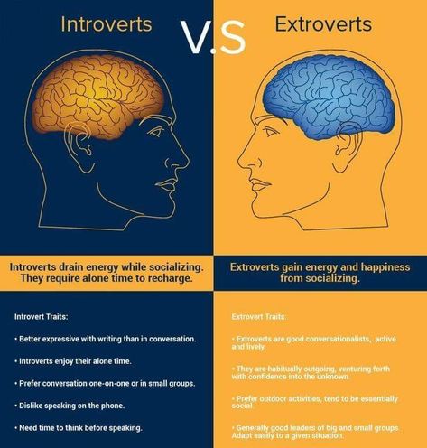 Extrovert Character, Infographic Psychology, Introvert Vs Extrovert, Character Writing, Introvert Personality, Introvert Problems, Introverts Unite, Introvert Quotes, The Human Brain