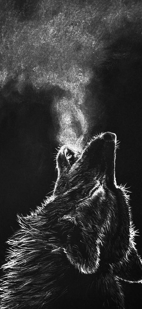 Wolf Wallpaper, White Photo, Wallpapers, Black And White, Christmas, White, Black