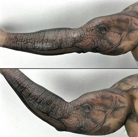 Best 3d Tattoos, 3d Elephant, Tattoos For Women Half Sleeve, Geniale Tattoos, 3d Tattoos, Elephant Tattoo, 3d Tattoo, Elephant Tattoos, Funny Tattoos