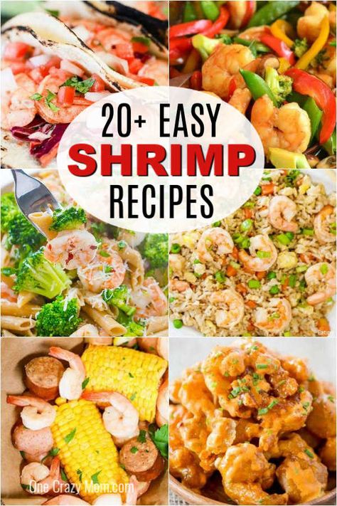 Find 20+ easy shrimp recipes that are super easy to prepare and so tasty. Dinner will be a breeze with these quick and delicious meal ideas for you to try. Easy Cheap Shrimp Recipes, Quick Meals With Shrimp, Recipes Using Tiny Shrimp, Uncooked Shrimp Recipes, Grilled Shrimp Meals, Recipes With Small Shrimp, Recipes For Pre Cooked Shrimp, Small Cooked Shrimp Recipes, Recipes Using Leftover Boiled Shrimp