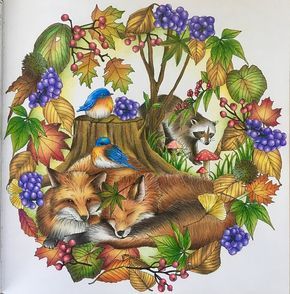 Animorphia Coloring Book, Kanoko Egusa, Animorphia Coloring, Forest Coloring Book, Fox Art, Mandalay, Coloured Pencils, Color Pencil Art, Coloring Book Art