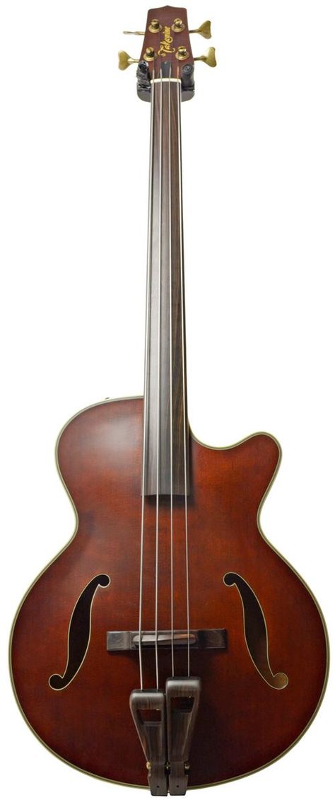 Akamine TB-10 semi-acoustic fretless bass. Acoustic Bass Guitar, Archtop Guitar, Bass Music, Double Bass, Guitar Shop, Bass Guitars, Custom Guitars, Bass Player, Guitar Design