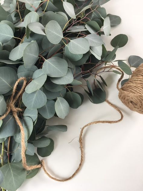 Dollar Eucalyptus, Silver Dollar Eucalyptus, Eco Printing, Floral Wire, Silver Dollar, Baby Food Recipes, Parenting Hacks, Parenting, Velvet