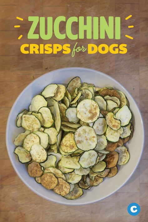 Veggie Treats For Dogs, Zucchini For Dogs, Low Cal Dog Treats, Zucchini Dog Treat Recipes, Freeze Dried Dog Food Recipe, Zucchini Dog Treats, Low Calorie Dog Treats Homemade, Low Calorie Dog Treats, Low Fat Dog Treats