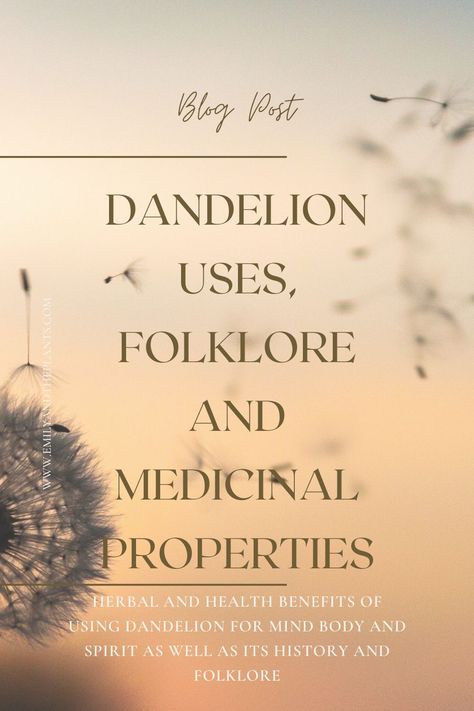 Herbal and health benefits of using dandelion for mind body and spirit as well as its history and folklore. How to use dandelion for its health benefits from root to leaves and flowers Dandelion Root Tea Benefits, Garden Preserving, Dandelion Uses, Witches Garden, Dandelion And Burdock, Dandelion Leaf, Dandelion Benefits, Digestive Bitters, Dandelion Root Tea